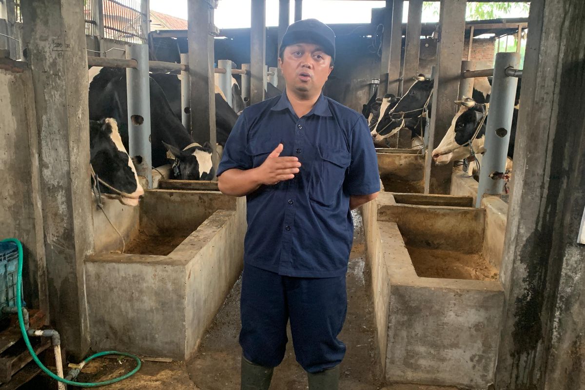 No Need to Import Milk if Local Farmers Thrive